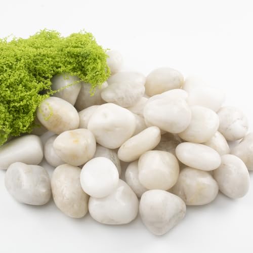 20lbs River Rocks - 1-2Inch Decorative Rocks for Potted Plants, River Rocks for Aquariums, and White Rocks for Landscaping (Weight : 20 LB, White)