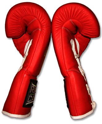 Professional Fight Boxing Gloves - Pro Fight Gloves