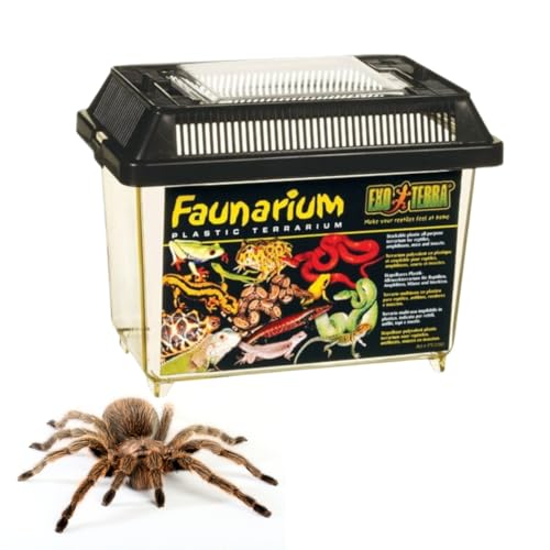 Exo Terra Faunarium, Plastic Reptile Terrarium, Large, PT2265 - size: Large