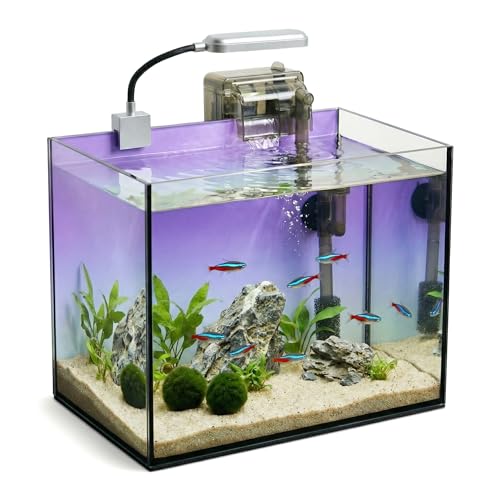 2.8 Gallon Glass Fish Tank with Filter LED Light Complete Betta Fish Tank Starter Kit for Small Aquarium Lovers, Rimless Freshwater Nano Tank with All Essentials Included