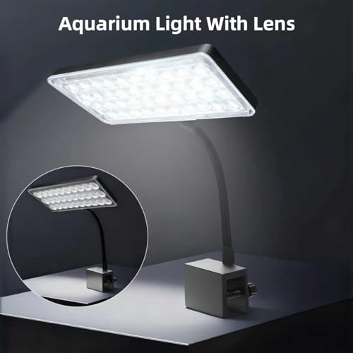 10 Gallon Glass Small Fish Tank with Filter Light and Lid, Aquarium Starter Kit - size: 10 Gallon