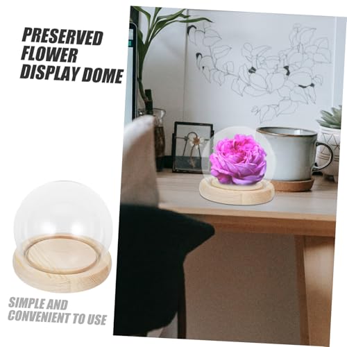 Happyyami Glass Cover Pedestal Showcase Clear Centerpiece Storage Fancy Dome Glass Display Case Flower Aquarium Glass Globe Preserved Flower Covers Display Cases for Collectibles Wood