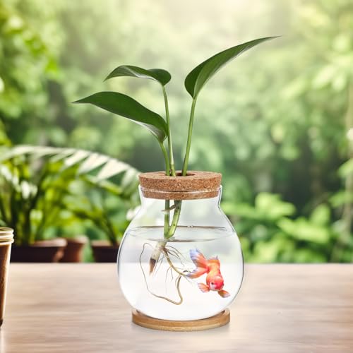 Toddmomy Desktop Hydroponic Glass Fish Bowl Mat Small Betta Tank for Aquatic Plants Terrarium for Home Office Lid