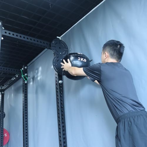 Metal Double Wall Ball Target with Extension Rack Mounted - size: Hole Diameter:5/8"