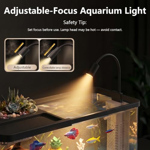 5 Gallon Fish Tank Aquarium Starter Kit with Filter and Light, All in One Small Fish Tank for Betta, Kids & Desktop Use, Self Cleaning Nano Aquarium with Lid(Large Black)