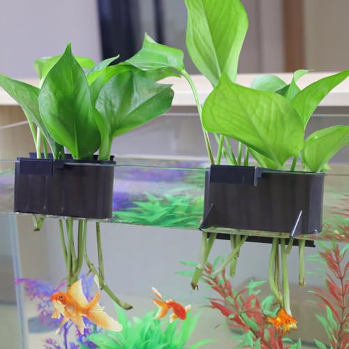 Aquarium Plant Holder,Plastic Fish Tank Plant Holder,Hanging Aquarium Planter Cup for Fish Tank Live Plants - color: Short