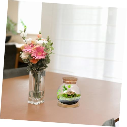 Desktop Hydroponic Fish Bowls Glass Propagation Vases with Mat for Betta Fish Plant Display for Home Office Decor for Plant Lovers