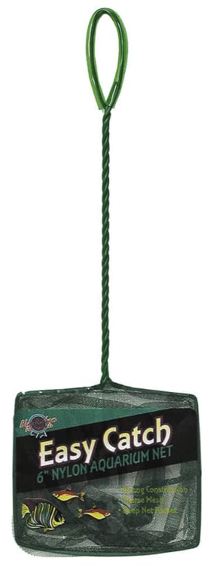 Blue Ribbon Pet Products ABLEC6C Easy Catch Fish Net for Aquarium, 6-Inch, Coarse Green