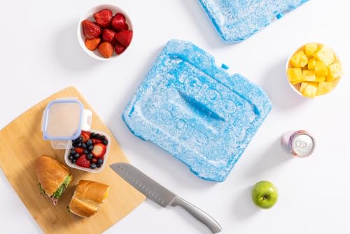 Igloo Maxcold Ice Blocks, Reusable Ice Packs for Coolers, Freezer Pack, Cold Packs for Coolers, Long Lasting Ice Blocks - color: XL