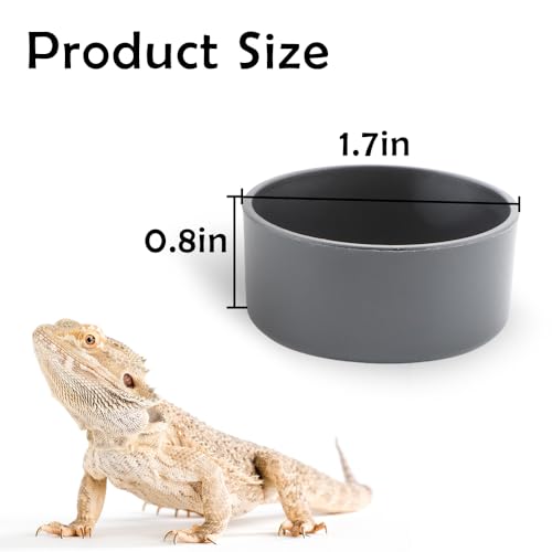 10 Pcs Small Reptile Water Bowl Food Dish Feeding Bowl for Spider Gecko Lizard Horned Frog Turtle Snake (Black)