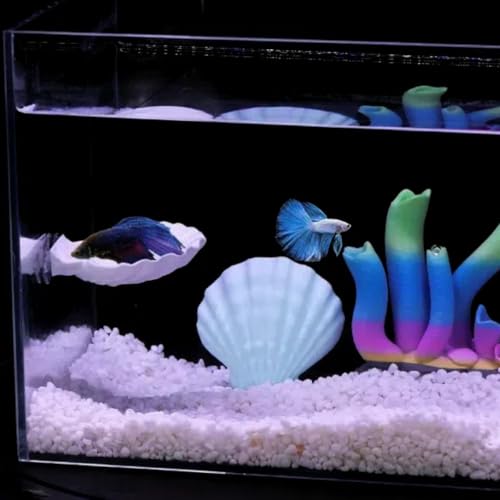 Betta Fish Hammock, Shell Pad with Strong Suction Cup Natural Resting Bed for Bettas Soft Fin-Safe Silicone Betta Fish Tank Decor and Accessories (White)