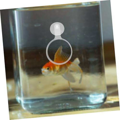 COLLBATH 4pcs Acrylic Glass for Fish Tank and Reptile Observation High Definition Viewer with Cup for -Landscapes and Animals