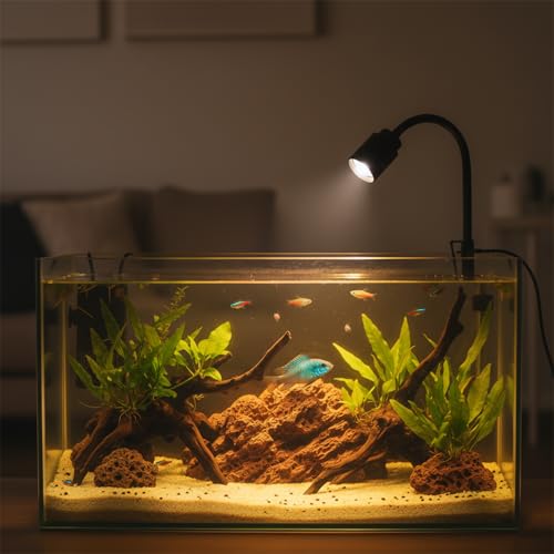 Zoom Mini Aquarium Spotlight with Timer – Gooseneck Clip-On Lamp, 15°–90° Zoom Beam, Tri-Color White/Warm White/Warm Light, Full Brightness Dimming (Black - NO Timer) - color: Black - NO Timer