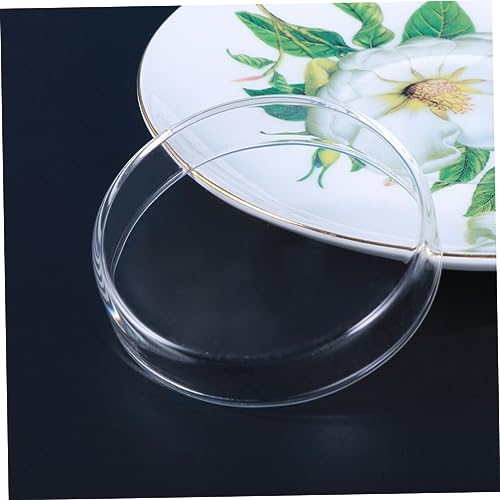 Toddmomy 1pc Glass Shrimp Feeder Bowl Crystal Glass Dish for Fish and Reptiles Decorative Aquarium Feeding Supply