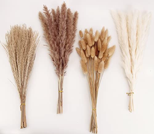 Natural Dried Pampas Grass Decor, Brown Pampas Grass, Bunny Tails Dried Flowers, Reed Grass Bouquet for Wedding Boho Flowers Home Table Decor, Fall Decor,Rustic Farmhouse Party (100 in Total ) - size: 100CPS-Brown