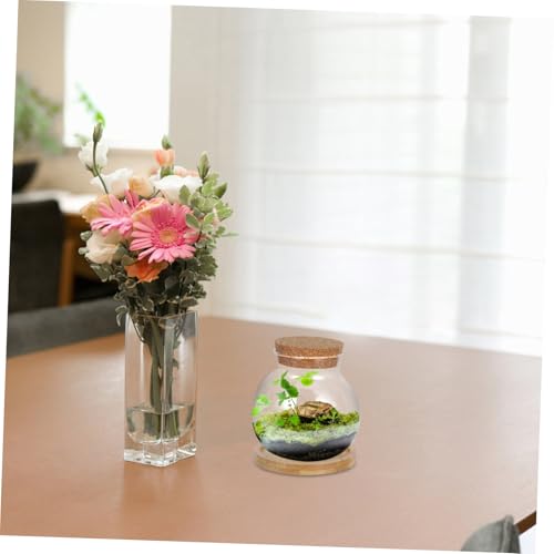 ORFOFE 2Set Hydroponic Glass Vases with Mat Desktop Aquarium for Plant Lovers Small Fish Tank Jars for Indoor Gardening Home Decor and Office Centerpieces