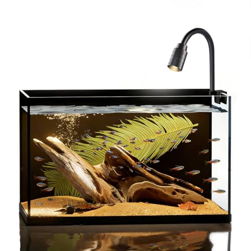 Small Aquarium Set, 2 Gallon Nano Glass Fish Tank Starter Kit with Aquarium Light Cleaning Tool & Décor, Leak-Proof Ultra-Clear Rimless Black Back Desktop Betta Tank (2 Gallon Nano Tank)