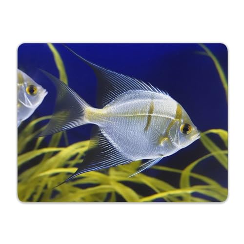 Mousepad Leather Mousemat with Rubber Base Desk Protector Pad for Laptop Aquarium Angelfish Mousemats Computer Desk Mat Non-Slip Desk Pad for Work Office Home 10 X 8 Inches