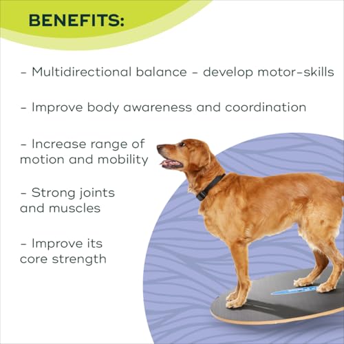 FitPaws® Wobble Board, Dog Balance Core Fitness Rehab Tool, Dog Fitness - size: 36"