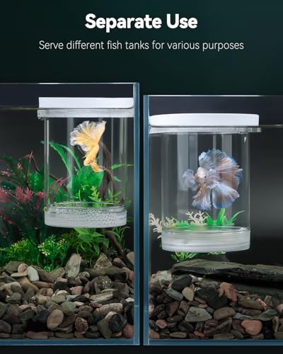 Pawfly Large Breeder Box for Fish Tank, Floating Guppy Breeder Box, Plastic Hatchery Incubator Isolation Box for Shrimp Betta Clownfish, Baby Fish Separator for Aquarium - size: Large