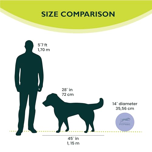 FitPaws® Dog Balance Disc, Exercise Equipment, Rehabilitation + Training, - color: Razzleberry, size: 14"