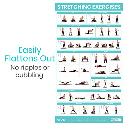 Vive Workout Posters for Home Gym - 52 Streching Exercises Full Body