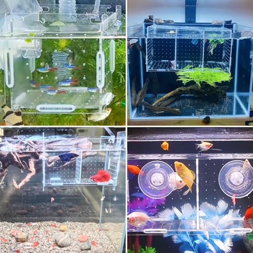 Acrylic Fish Breeding Box,Guppy breeding Box Acrylic Fish Isolation Box Aquarium Incubator with Suction Cups for Guppy Shrimp Small Baby Fishes(3.9 x 3.9 x11.8 in) - size: L(3.9 * 3.9 * 11.8in)