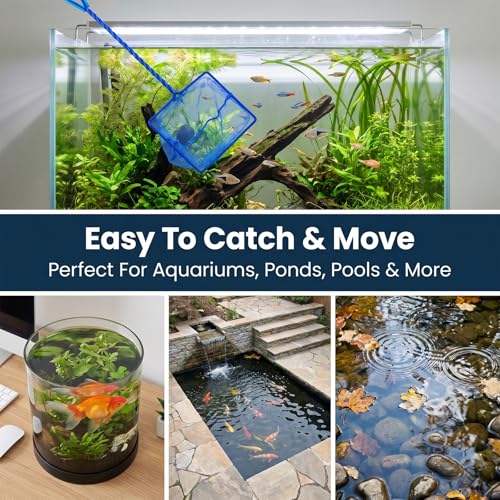2 Pcs Fish Net for Fish Tank with 10 Inch Long Handle, Fine Mesh Aquarium Net Quick Catch Nylon Fishing Catch Nets