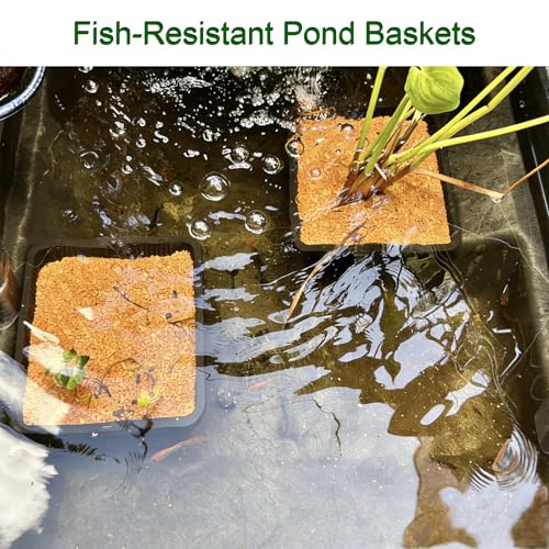 12 Pcs 7 Inch Aquatic Plant Baskets for Hydroponics Water Garden Plant Pots Black Plastic Mesh Basket Square Plastic Mesh Pond Containers for Live Aquarium Plants