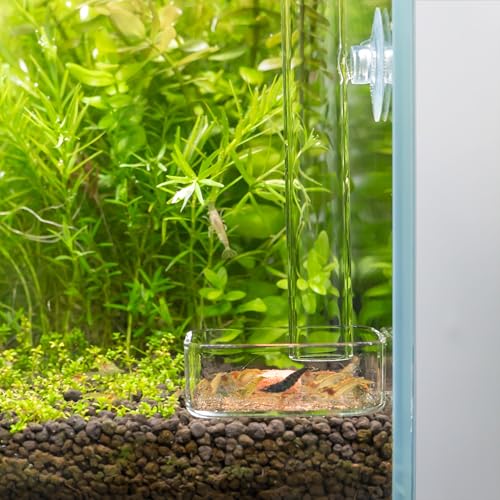 LINLAN 9.84 Inch Glass Shrimp Feeder, Aquarium Feeding Tube and Square Bowl with Two Suction Cups to Prevent Food from Spreading, for Crystal Shrimp and Cherry Shrimp - size: 25CM