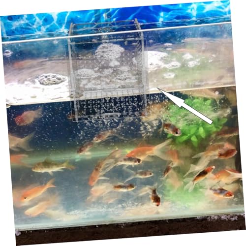 1set Acrylic Aquarium Isolation Box with Cups and Hook Transparent Fish Breeding Container for Betta Shrimp and Fry Easy Installation Compact Design