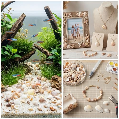 1200 Pcs Small Seashells Starfish Mixed Beach Seashells for Home Decoration Beach Theme Party DIY Crafts Candle Making
