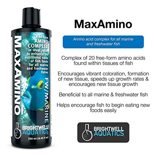 Brightwell Aquatics MaxAmino - Liquid Amino Acid Complex for All Marine & Freshwater Fish, 1000-ml - size: 1000-ml