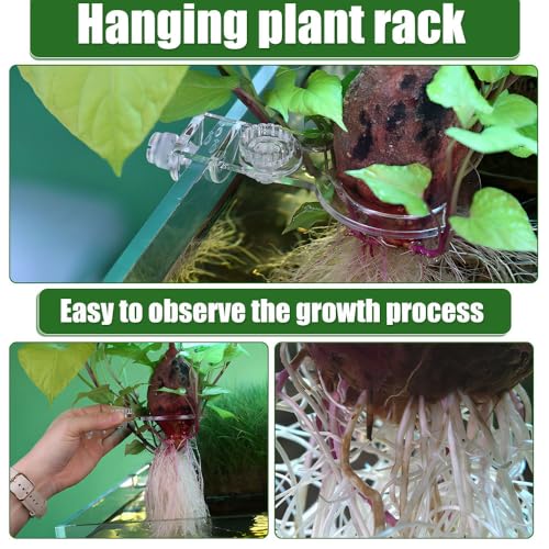 Sturdy Aquarium Plant Holder, Acrylic Adjustable Clear Aquarium Plant Holder Premium Aquarium Planter Cups for Aquarium Aquascape Cultivation Decoration