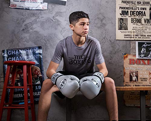 Pro Mex Professional Training Gloves V 3.0 - color: Silver, size: 14 oz