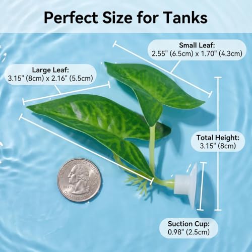 2 Pack Betta Fish Tank Accessories,Betta Fish Leaf Pad Improves Betta's Health by Simulating The Natural Habitat - Natural, Organic, Comfortable Rest Area for Fish Aquarium Ornaments