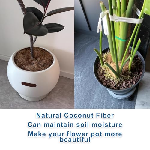 Long Coconut Husk Fiber Mulch Silk for Orchids Clean Coconut Shell Moss Covering 0.66 Pounds