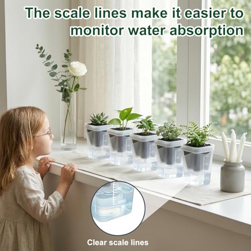 TREWAVE 16 Pack 2" Mini Self Watering Pots for Indoor Plants, Small Clear Plastic Planters with Drainage Holes, Propagation Pots for Alocasia Corms, African Violets, and Succulents - size: 2"
