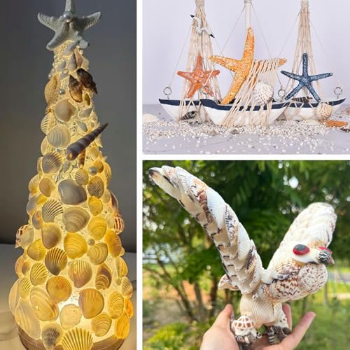 Small Seashells for Crafts, Natural Scallop Shells, Eagle Wing, DIY Assortment, Ocean-Themed Decorations, Fish Tank Plant Gravel, Vase Filler, Wedding and Party Decorations, 220pcs