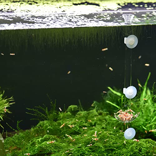 Bilindasly Acrylic Shrimp Feeding Dish Floral Shrimp Bowl Aquarium Transparent Feeder Container with Suction Cup for Aquarium Fish Tank