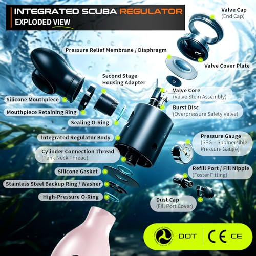 GOYOJO Mini Scuba Tank, Portable Diving Lung Air Tank with DOT Certified, Refillable Emergency Backup Pony Bottle for Snorkeling, Underwater Breathing, Training - color: 0.5L Blossom Pink