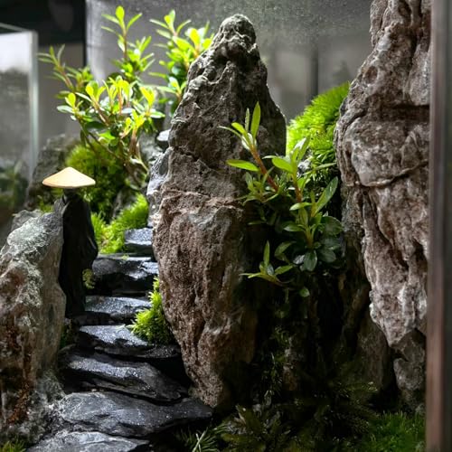 Natural Rocks Slate Stone 1-2.5 Inches Decorative Stones for Miniature Landscaping,Fairy Gardens,Bonsai,DIY Crafts,Aquariums & Reptile Terrariums-1lb