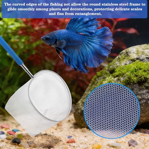 2 Pack Fish Tank Net 3 & 4 Inch Stainless Steel Fish Nets Small Tank Net for Shrimp Bettas Mesh Aquarium Nets with Durables Handle Aquarium Accessories