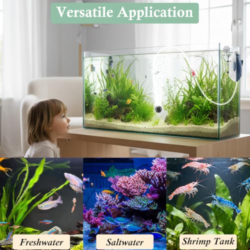 Dirvin 2W Silent Aquarium Air Pump -45GPH Small Fish Tank Bubbler, Adjustable Aquarium Aerator with Accessories for 5-20 Gallon Fish Tank - style: 1 Outlet-2W