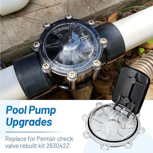 Check Valve Replacement Kit 263042Z Fits for Pentair 2" CPVC Check Valve 263042, Upgraded Pool Pumps 2 Port Straight Valves Part