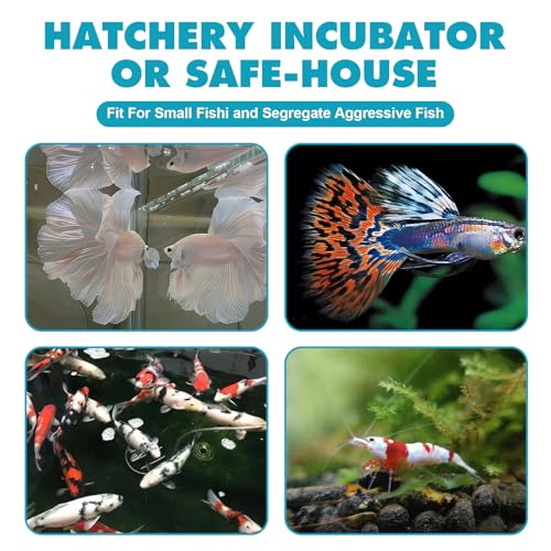 Floating Fish Breeding Box, Acrylic Fish Isolation Box for Aquarium Tank, Hatchery Incubator Breeder for Betta Shrimp Clownfish Guppy (Large)