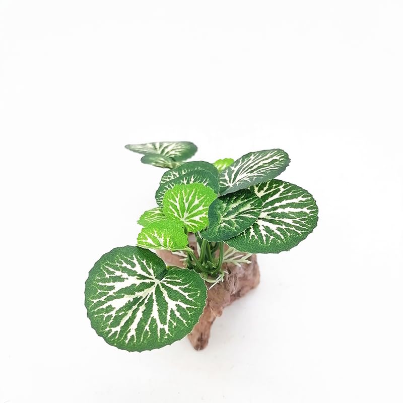 Aquarium Decor Fish Tank Accessories Betta Fish African Dwarf Frog Tank Accessories