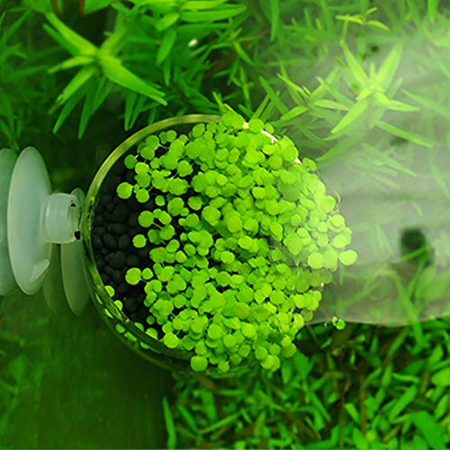 2X Crystal Glass Aquatic Plant Pot, Planter, Red Shrimp Live Plants Fish Tank Holder with 4X Suction Cups for Aquarium Aquascape Decoration… - size: 2 Count (Pack of 1)