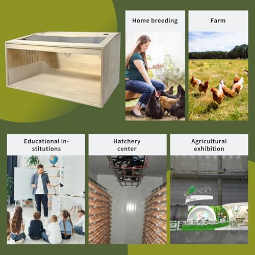 20-Piece Large Chicken Brooder Box, All-in-One Kit Brooder Box, Brooder for Chicks, Quail, Hamsters, Up to 35 Chicks Capacity, Pattern B, 31.5" L x 15.7" W x 15.7" H - size: 31.5"L x 15.8"W x 15.8"H