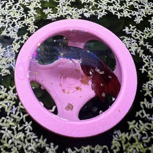 Floating Betta Hide Out, Betta Enrichment Toy. Feeding Ring for Fish & Shrimp, Safe Plastic Aquarium Ornament. (White)